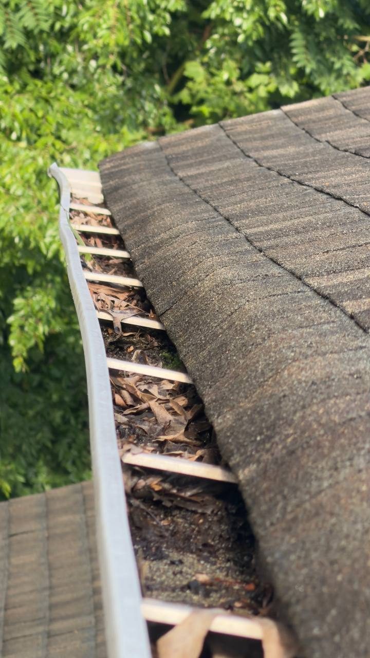 Leaf-filled gutter run blocking water